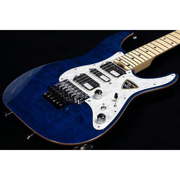 Amazon.co.jp: SCHECTER SD-2-24-AL AQB/M エレキギター : 楽器・音響機器